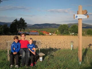 Vakantiehuis Neunburg vorm Wald Omgeving 28