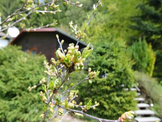 Holiday house Stadlern Outdoor Recording 5
