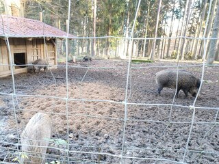 Casa de vacaciones Stadlern  29