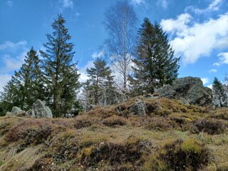 Casa per le vacanze Stadlern  36