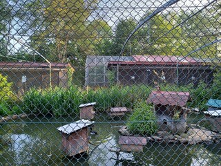 Maison de vacances Stadlern  33