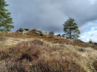 Maison de vacances Stadlern  47