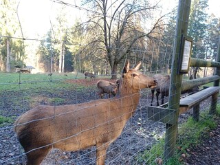 Holiday house Stadlern  27