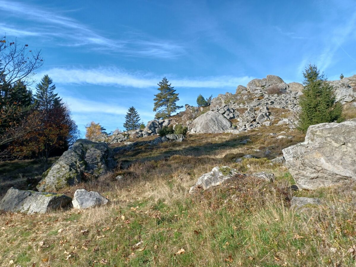 Ferienhaus Stadlern  29