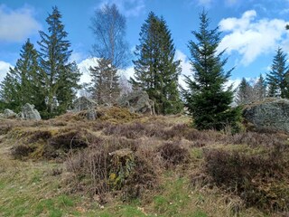 Holiday house Stadlern  30