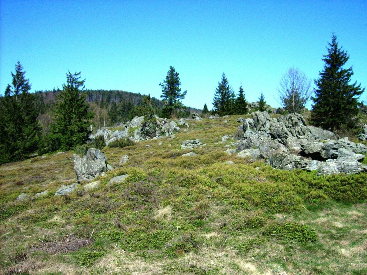 Ferienhaus Stadlern Umgebung 21