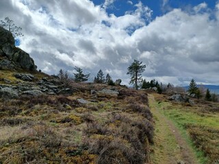 Casa per le vacanze Stadlern  26