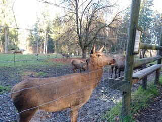 Vakantiehuis Stadlern  33