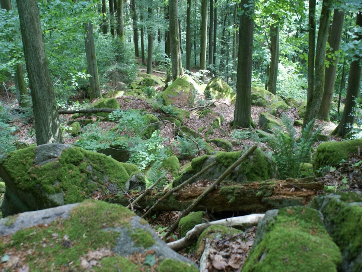 Ferienhaus Oberviechtach Umgebung 27