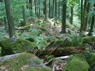 Casa de vacaciones Oberviechtach Entorno 26