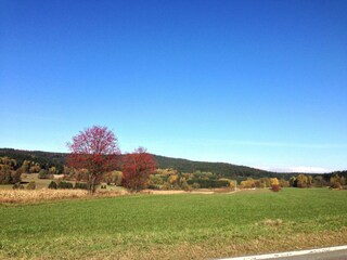 Maison de vacances Tännesberg Environnement 20
