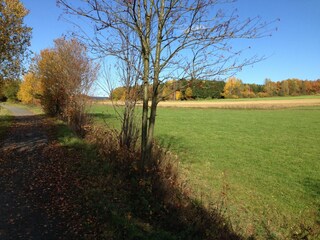 Ferienhaus Tännesberg Umgebung 13