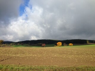 Vakantiehuis Tännesberg Omgeving 16