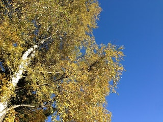 Ferienhaus Tännesberg Umgebung 9