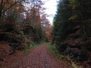 Ferienhaus Tännesberg Umgebung 17