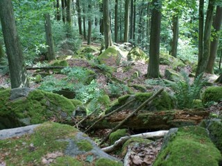 Vakantiehuis Tännesberg Omgeving 11