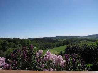 Ferienhaus Tännesberg Umgebung 25