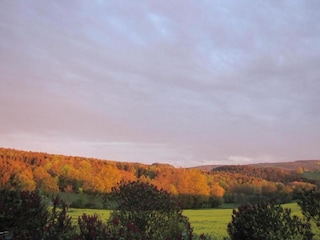 Holiday house Tännesberg Environment 24