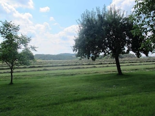Ferienhaus Tännesberg Umgebung 19