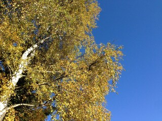 Maison de vacances Tännesberg Environnement 22