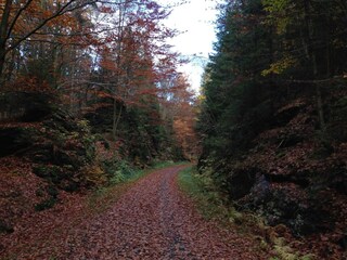 Holiday house Tännesberg Environment 23