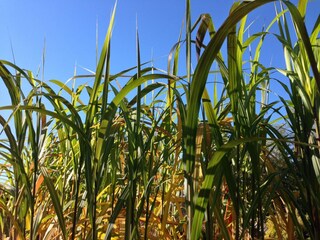 Casa per le vacanze Tännesberg Ambiente 24