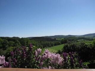 Vakantiehuis Tännesberg Omgeving 16