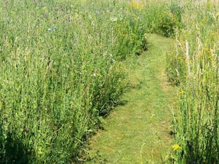 Holiday house Tännesberg Environment 30