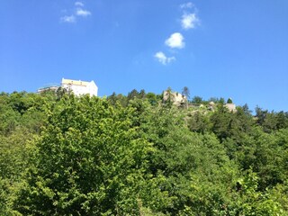 Appartement Riedenburg Environnement 30