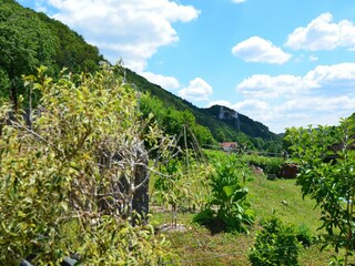 Appartement Riedenburg Enregistrement extérieur 10