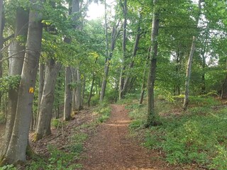 Appartement Riedenburg Omgeving 29