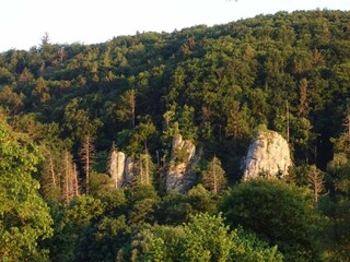 Appartamento Riedenburg Ambiente 37