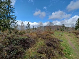 Farmhouse Neukirchen beim Heiligen Blut Environment 35