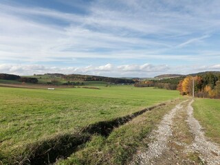 Type de propriété : Ferme Neukirchen beim Heiligen Blut Environnement 29