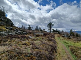 Vakantiehuis Arnschwang Omgeving 32