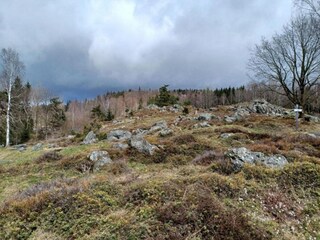 Vakantiehuis Arnschwang Omgeving 35