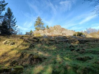 Vakantiehuis Arnschwang Omgeving 38