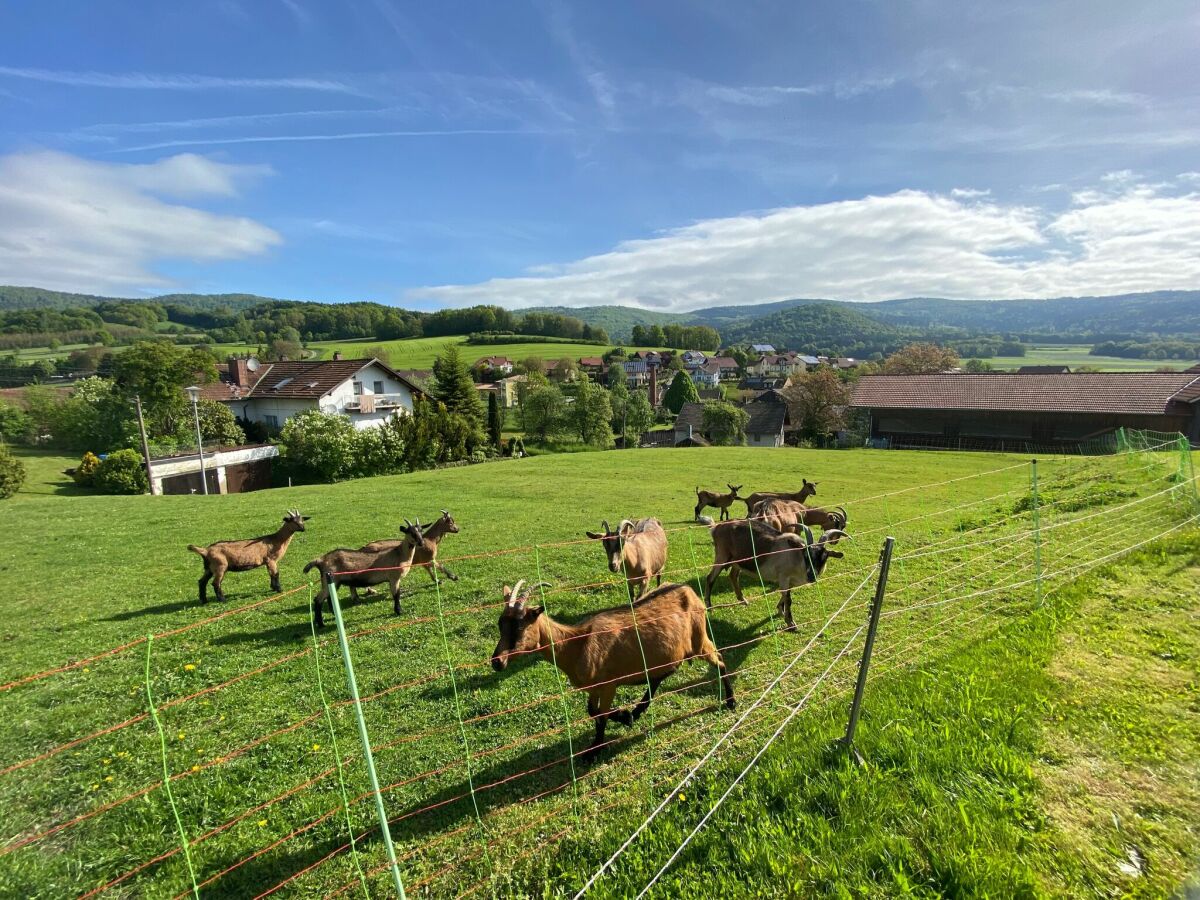 Apartamento Gleißenberg Grabación al aire libre 1