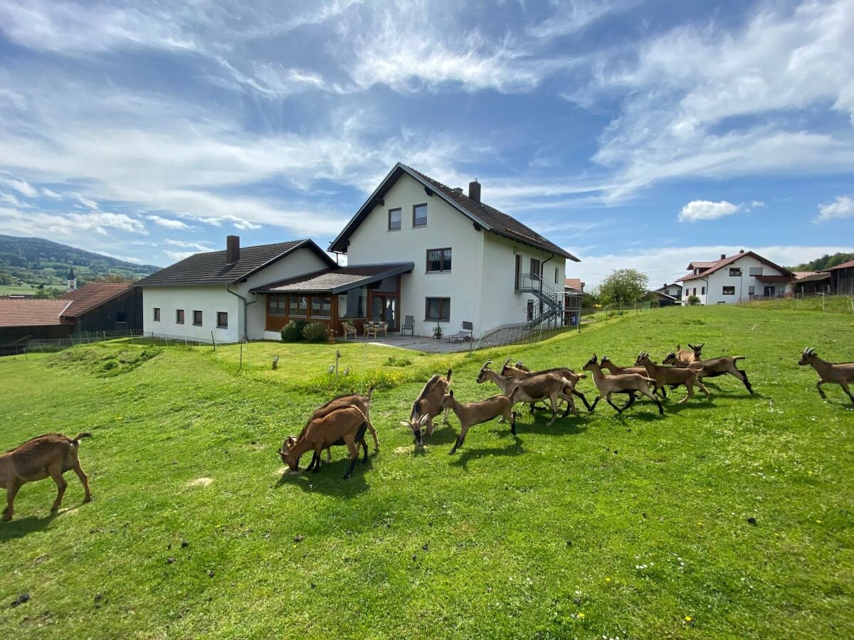 Apartment Gleißenberg Außenaufnahme 4