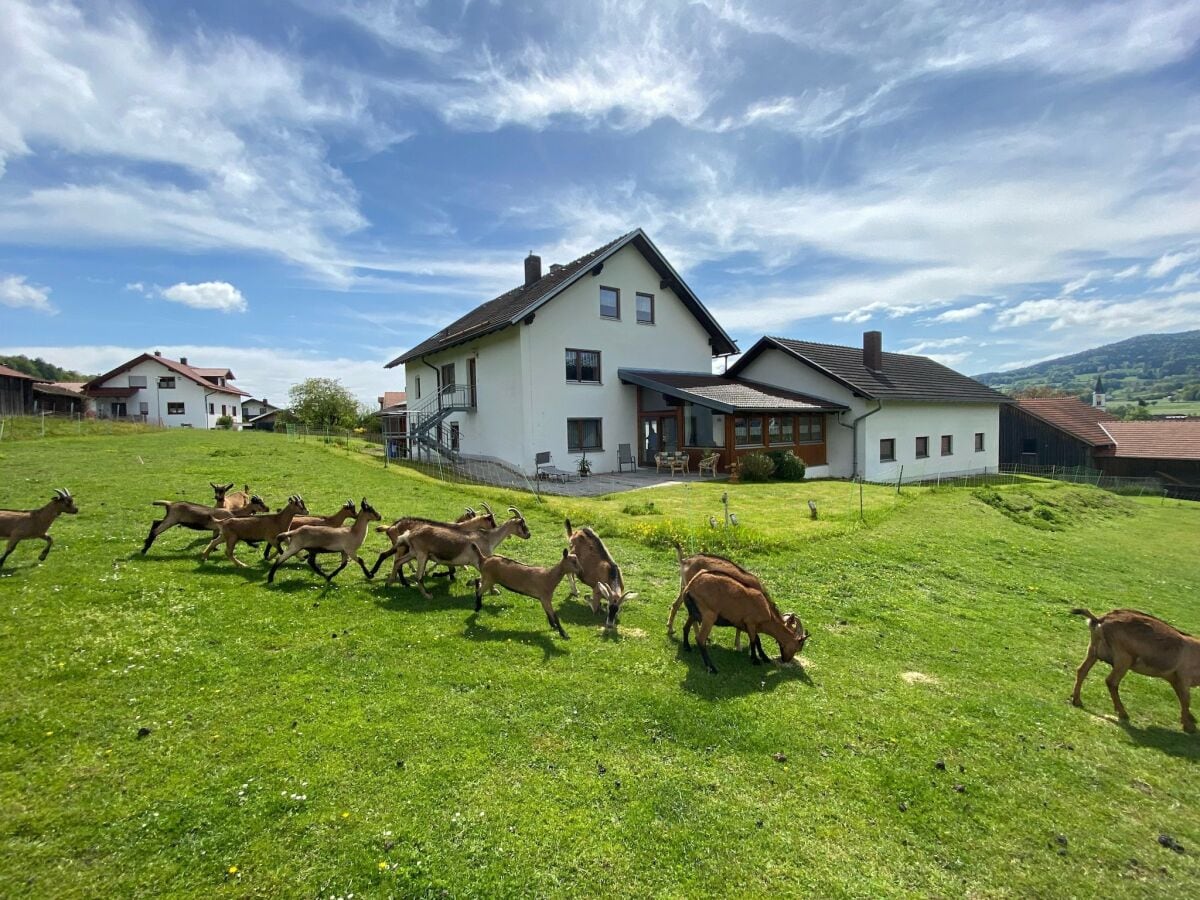 Apartment Gleißenberg Ausstattung 8