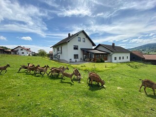 Appartement Gleißenberg Kenmerken 8