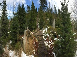 Appartement Sonnen Environnement 39