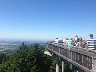 Appartement Büchlberg Environnement 26