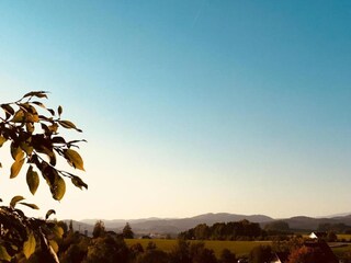 Appartement Büchlberg Environnement 29