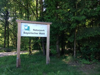 Appartement Büchlberg Environnement 36