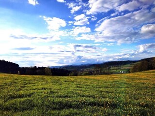 Apartment Büchlberg Environment 29