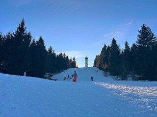 Apartamento Büchlberg Entorno 30