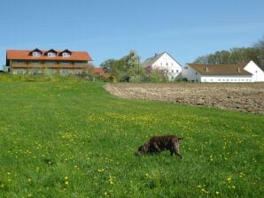 Mooi appartement in Nederbeieren met een tuin en terras - Rotthalmünster - image1