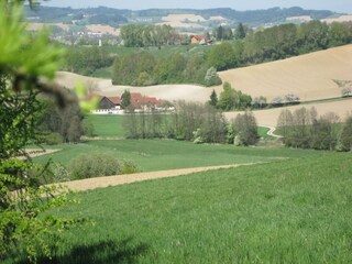 Appartamento Rotthalmünster Registrazione all'aperto 3