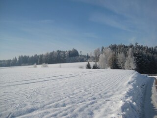 Appartement Rotthalmünster Environnement 27